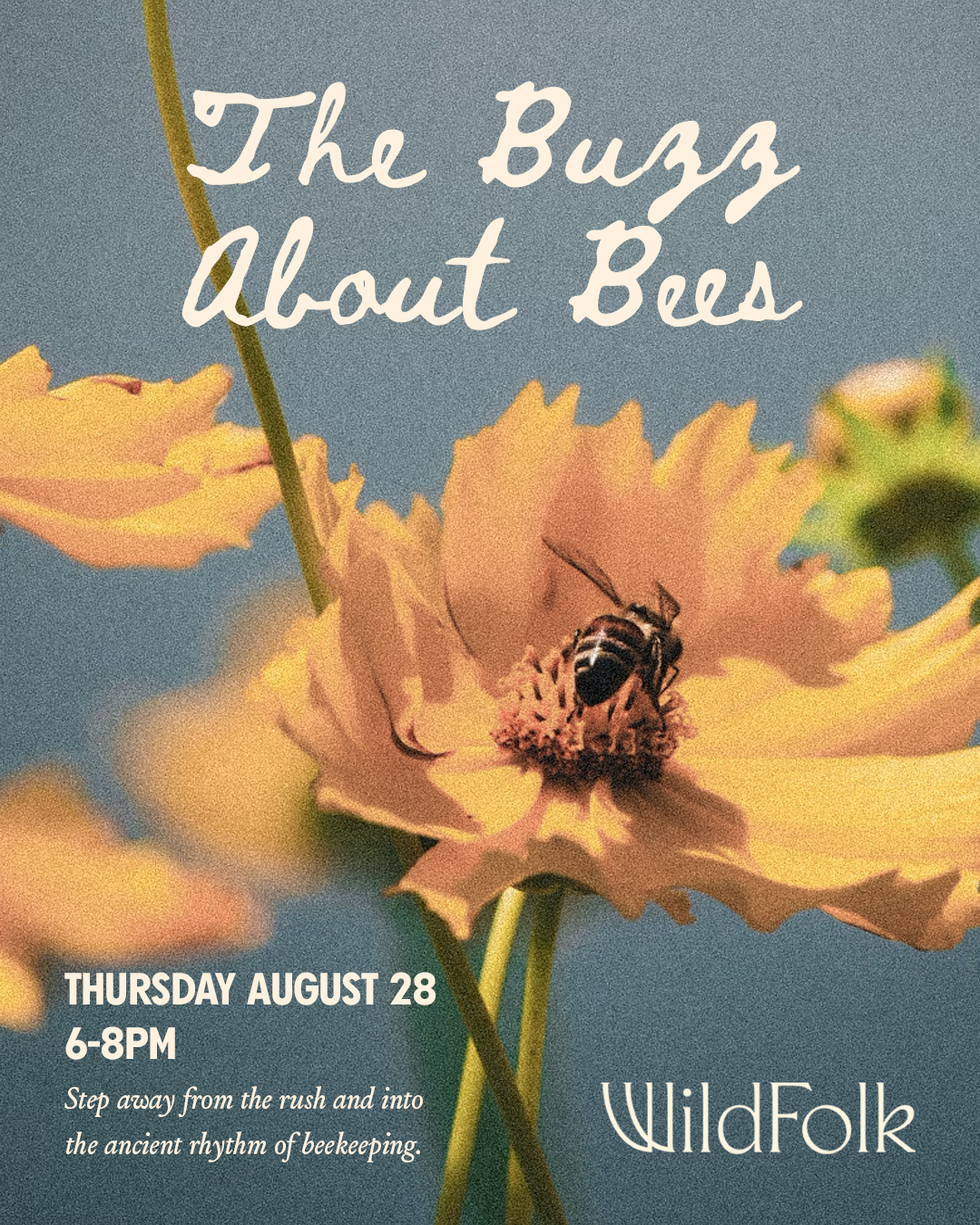 August 28: The Buzz About Bees